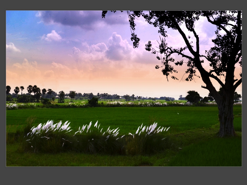220 - COLOUR OF VILLAGE - BASU MALAY - india.jpg
